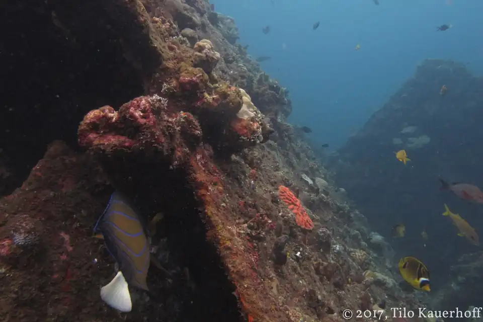 USAT Liberty Wreck