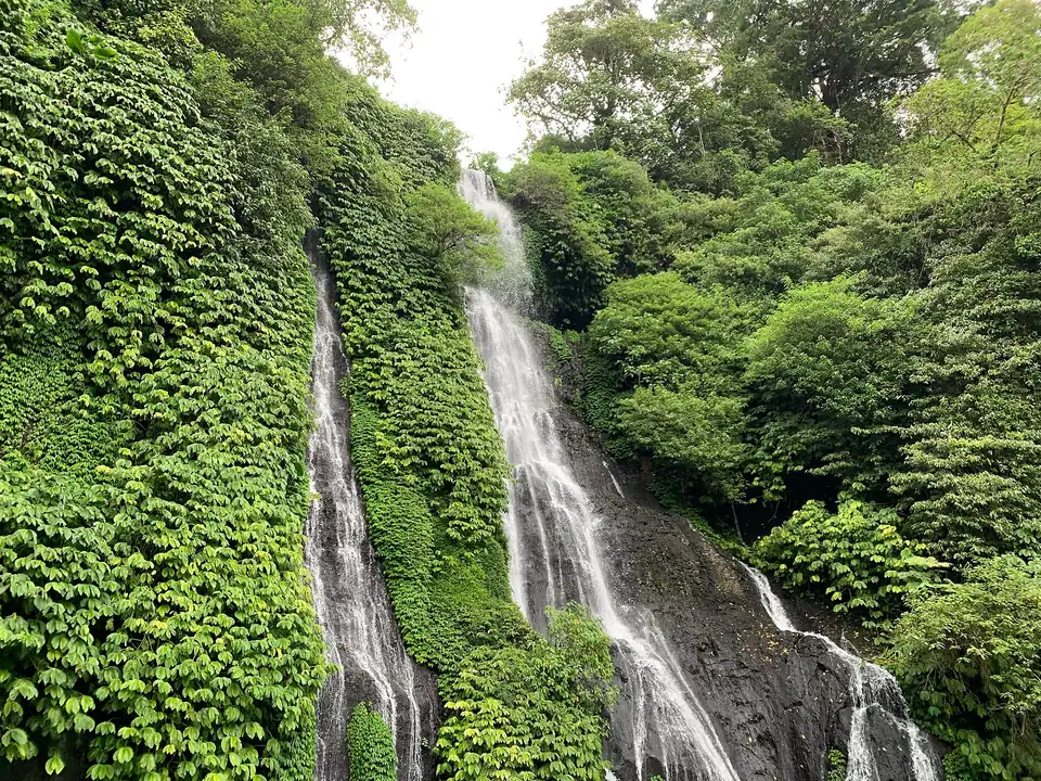 Banyumala's twin falls dropping through the jungle