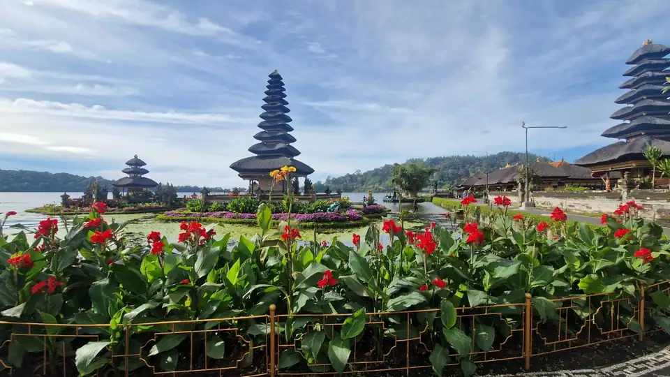 Beds of red canna lilies along the lakeside walk in front of the temple
