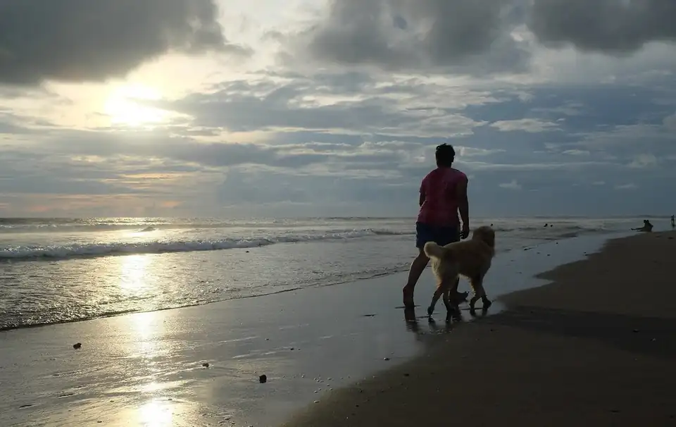 A walker and a dog on the shore at Petitenget