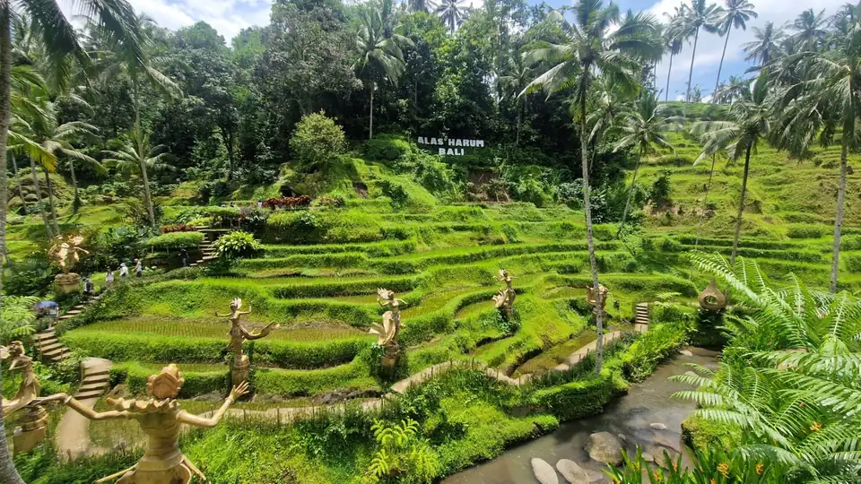 Gilded dancer statues on the terraces below the Alas Harum hillside sign