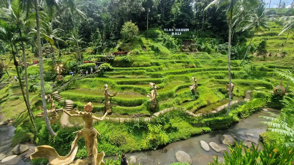 The full sweep of curved rice terraces at Alas Harum in Tegallalang