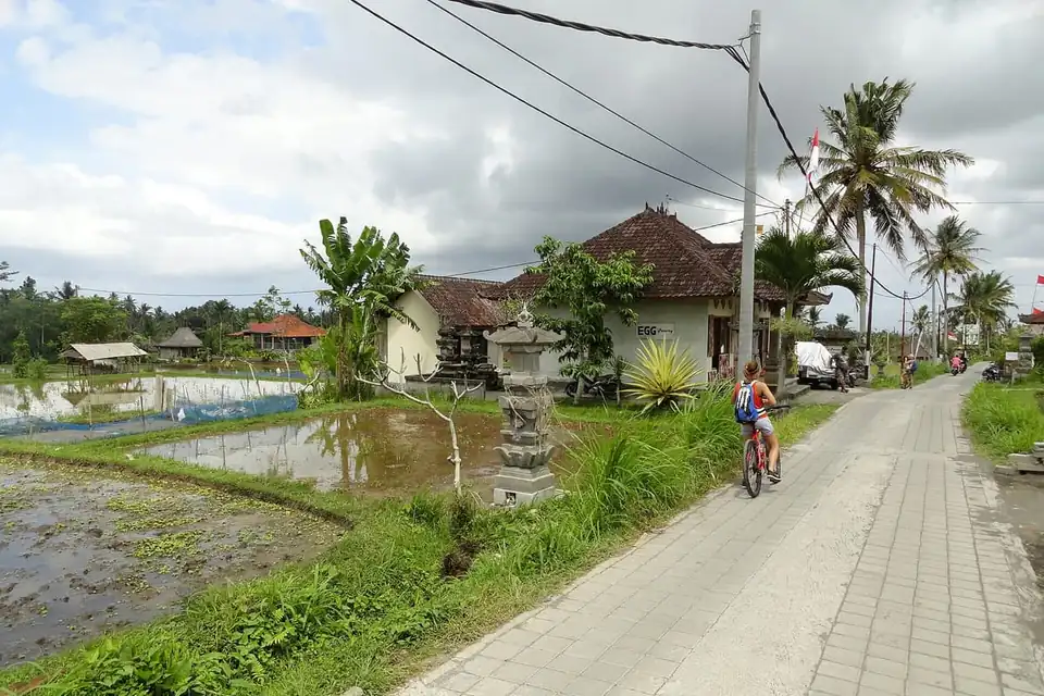 Campuhan Ridge Walk