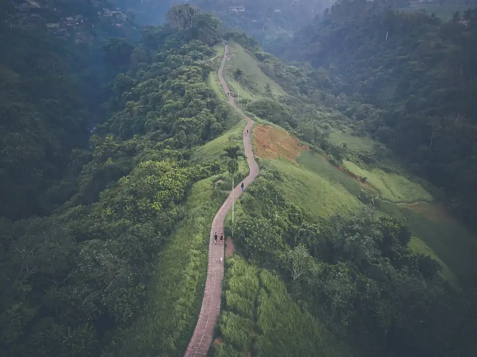 Campuhan ridge from the air, the path along its spine