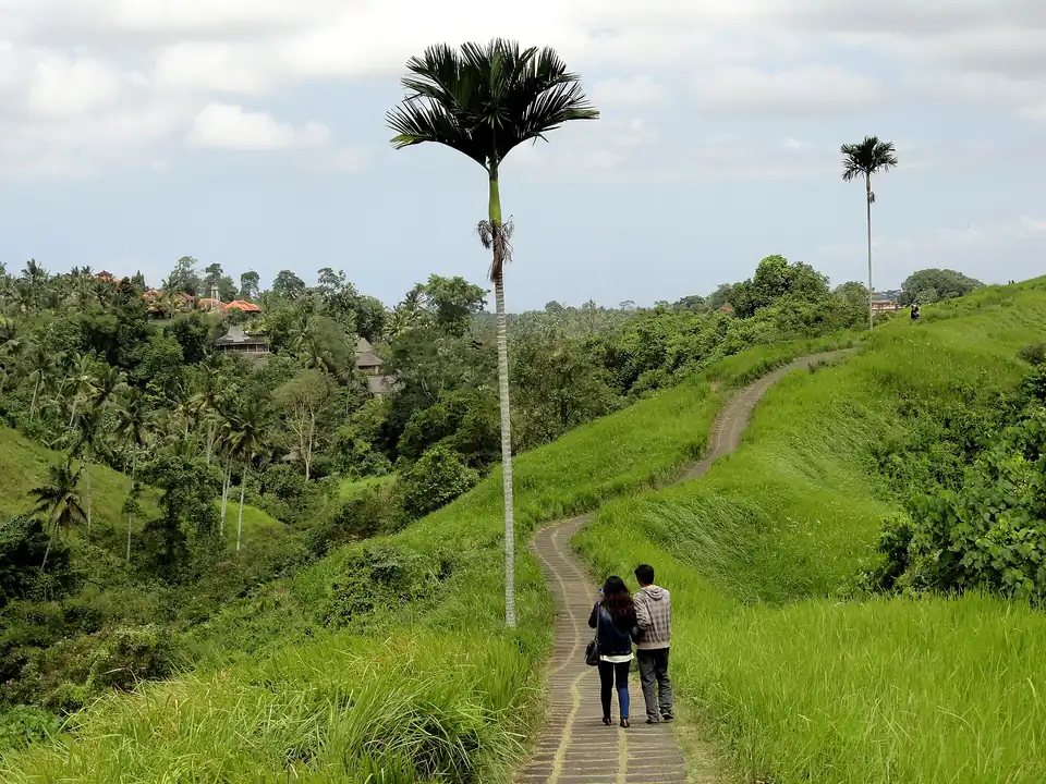 Walkers on the Campuhan Ridge Walk