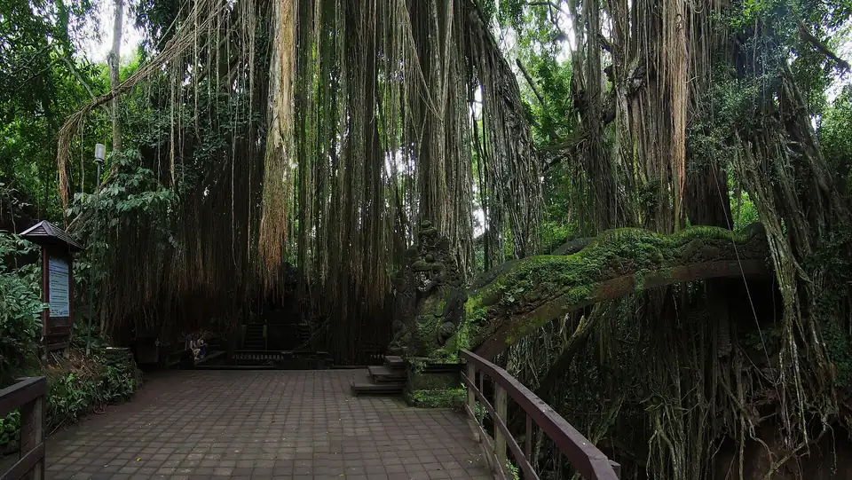 The holy spring temple inside the Monkey Forest