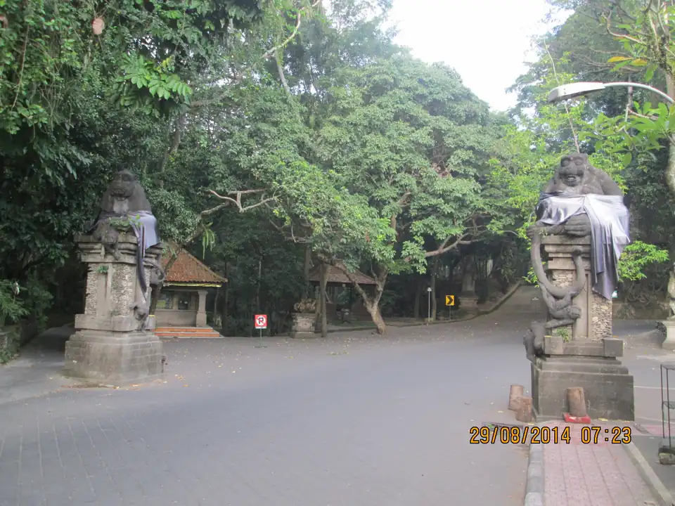 The road leading into the Monkey Forest