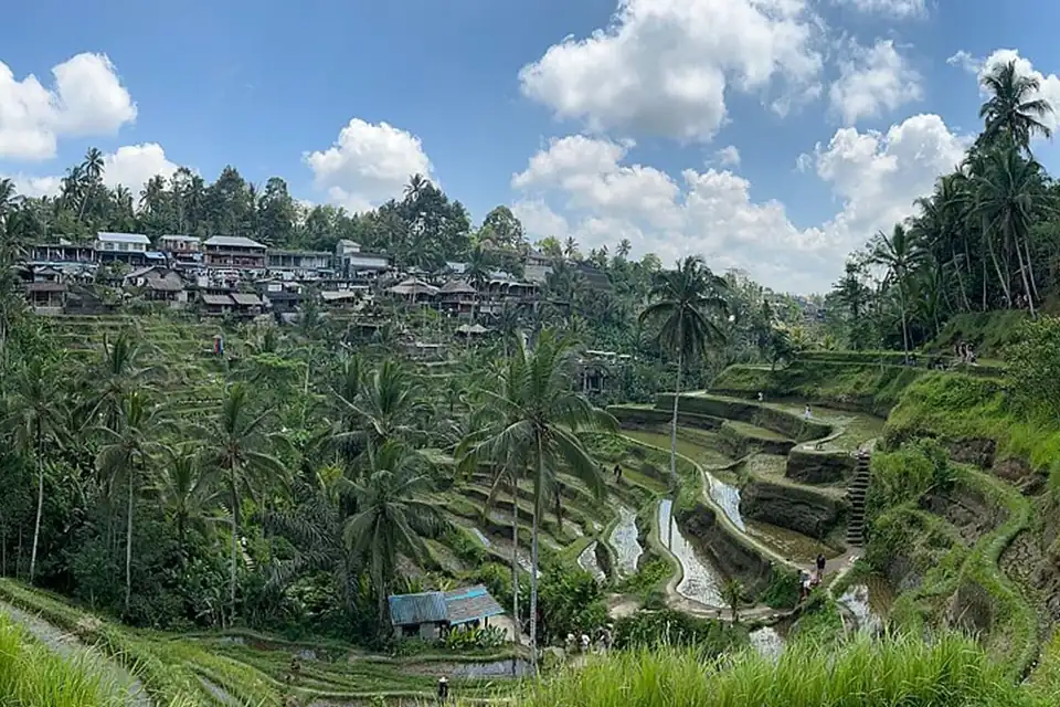Tegallalang Rice Terraces