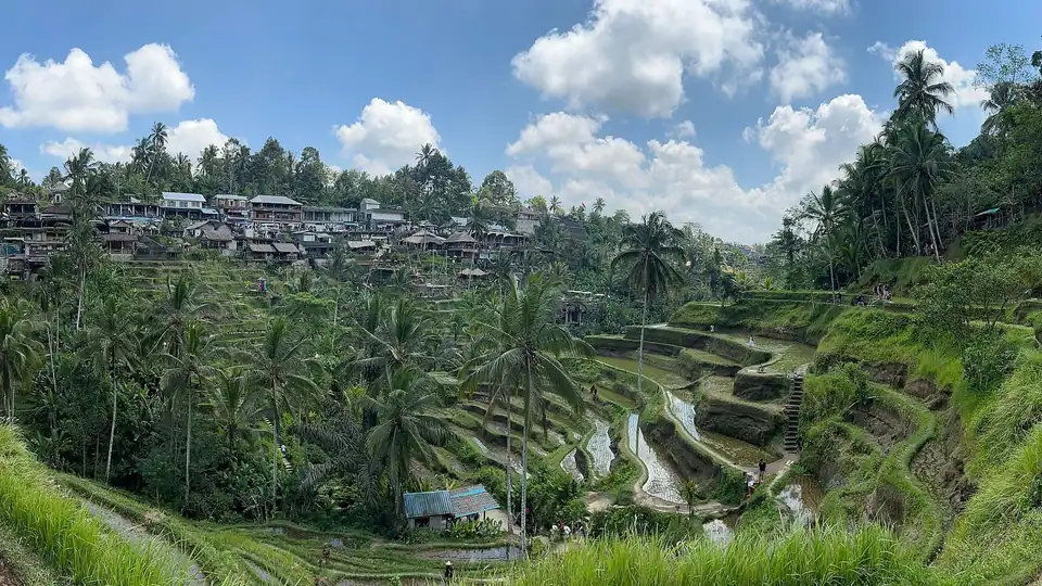 Terraced rice fields and misty hills near Ubud, the cultural heart of highland Bali