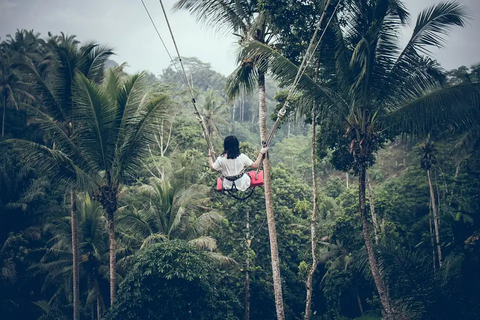 A swing hung between tall coconut palms in the Bali jungle
