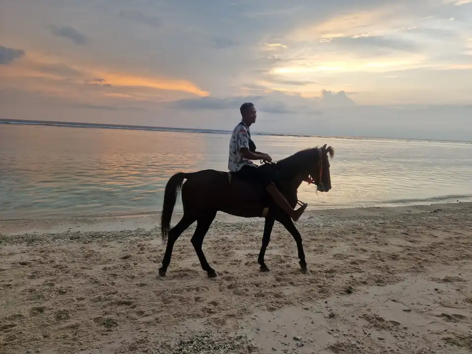 A rider taking a horse along the sand at sunset on the Gili Islands