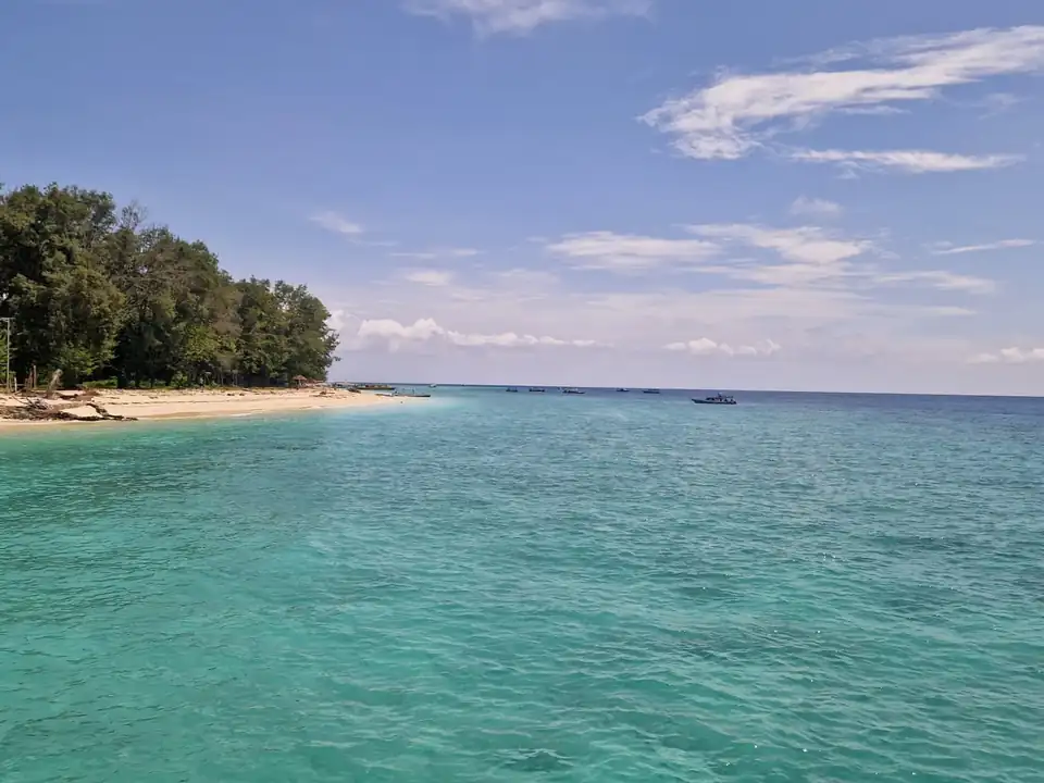 Clear turquoise shallows running up to a wooded shore on the Gili Islands
