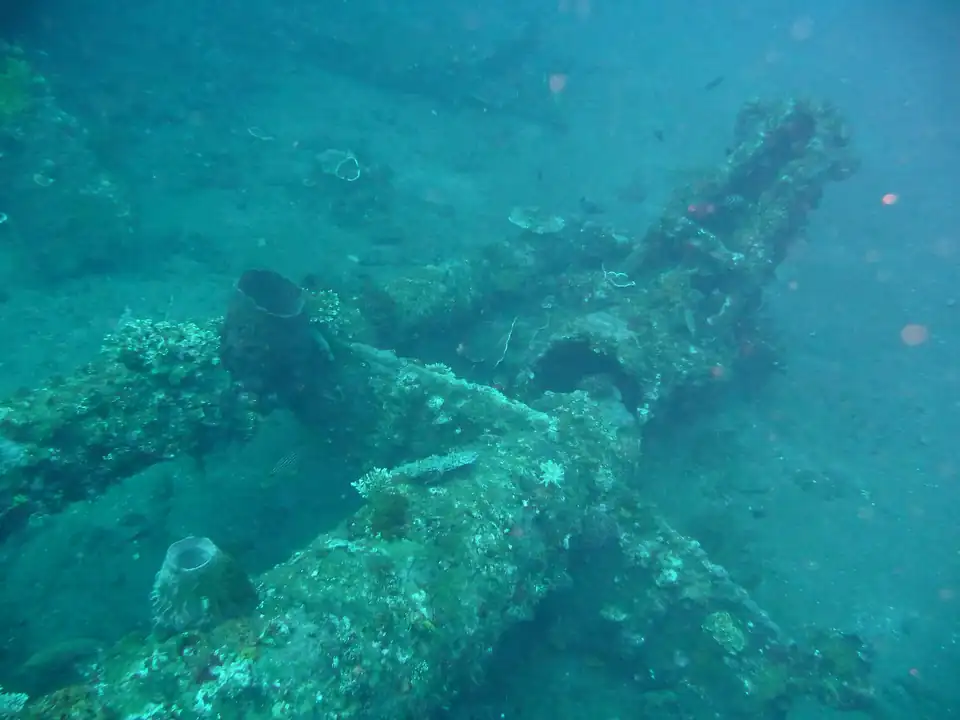 A crane on the USAT Liberty wreck at Tulamben
