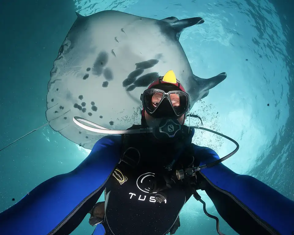 A diver below a giant manta ray off Nusa Penida