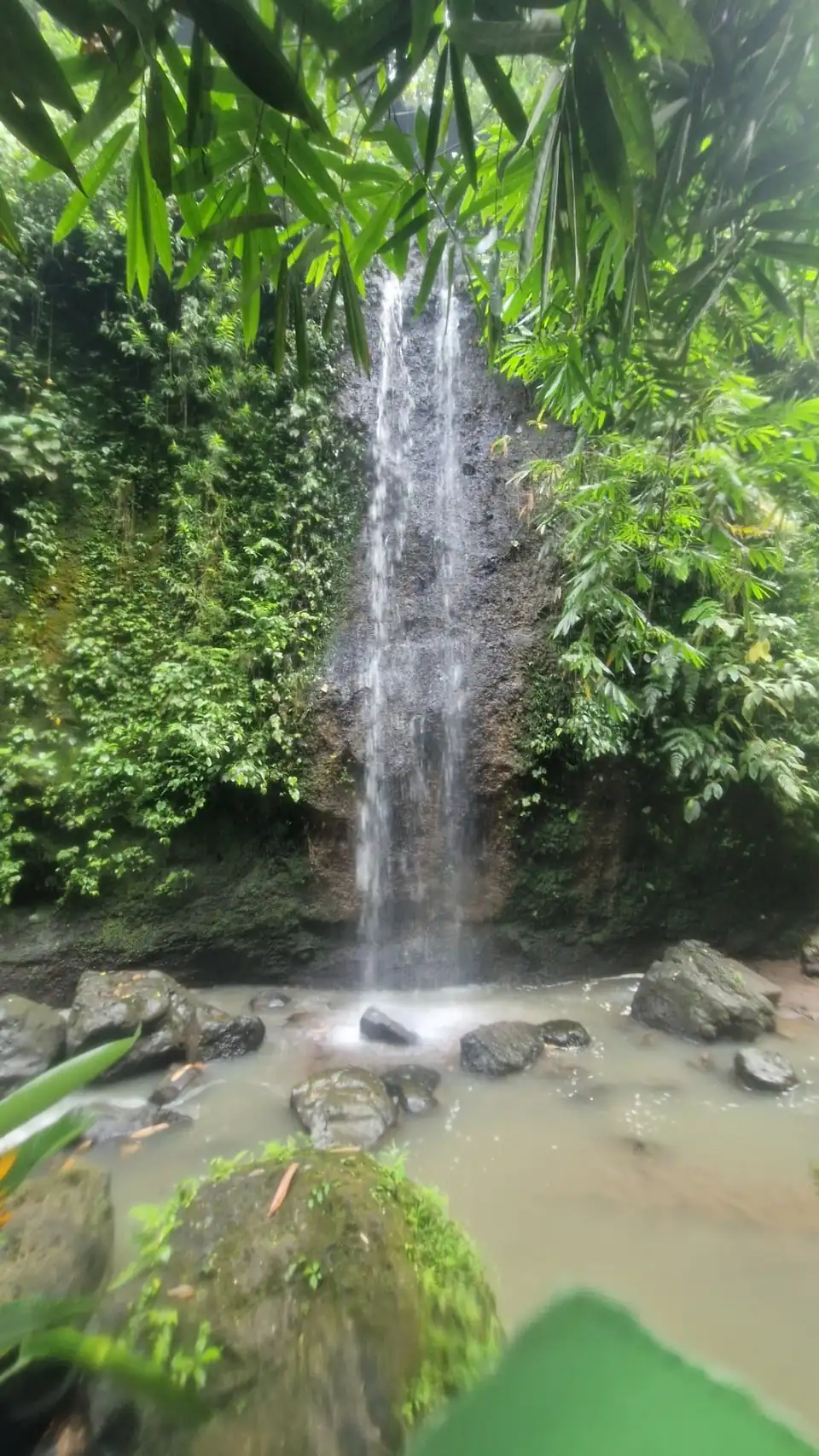 A narrow waterfall dropping through dense jungle into a shallow rocky pool in Bali