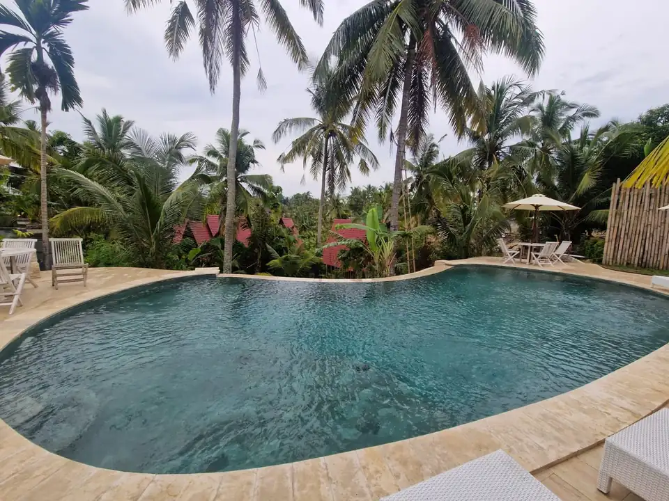 A private villa pool ringed with coconut palms and a stone terrace in Bali