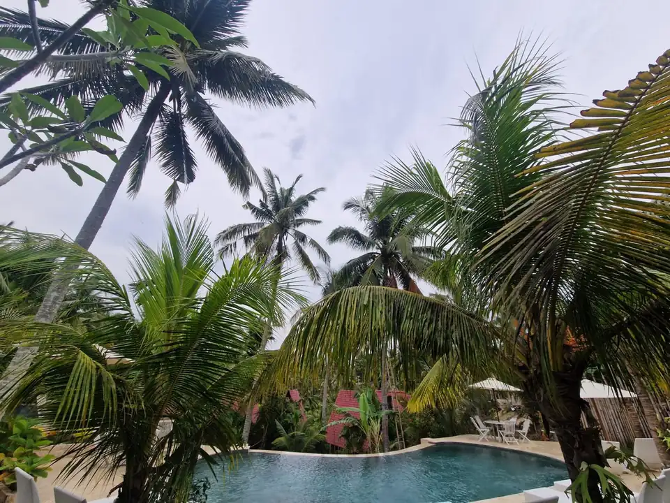 Coconut palms leaning over the pool of a small villa complex in Bali