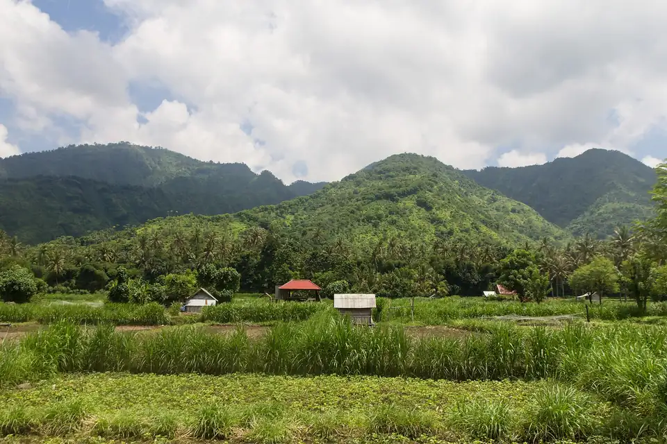 Rice fields below the hills of Karangasem