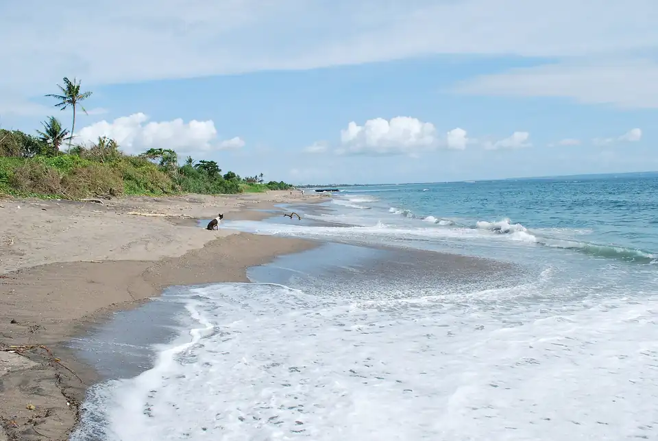 The dark sand and shorebreak of Canggu beach