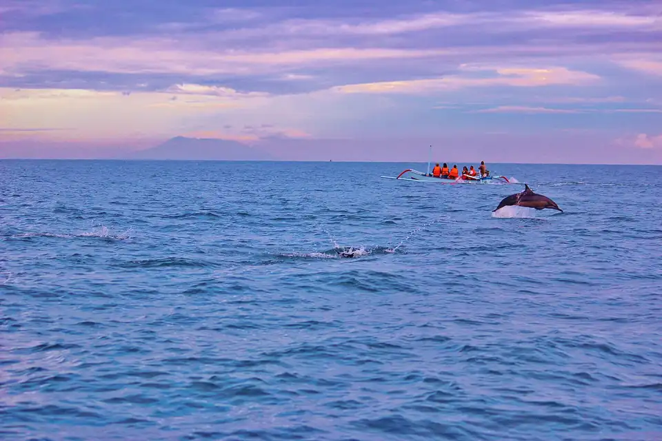Dolphins surfacing off Lovina at sunrise