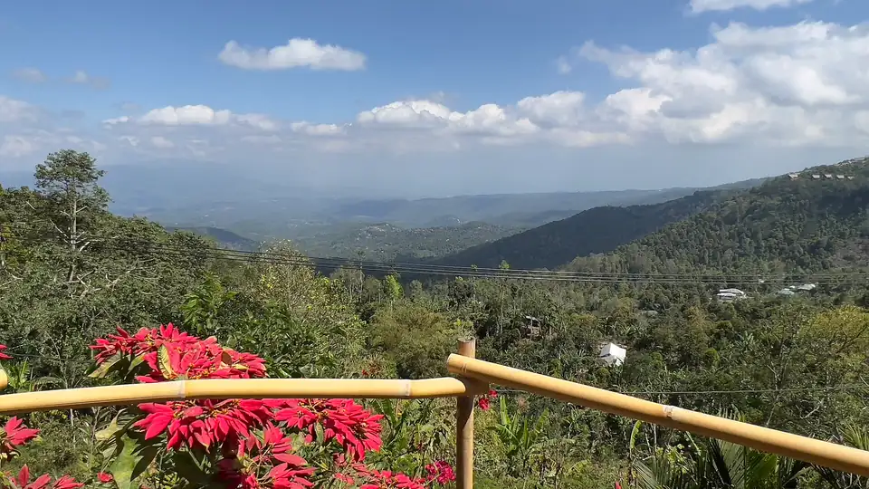 The view from a coffee farm above Munduk