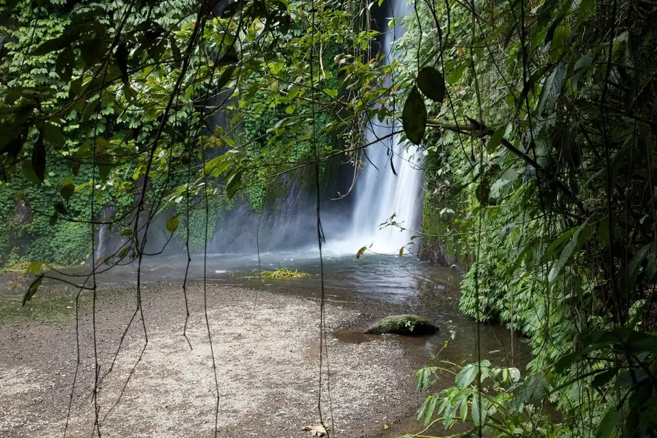 A waterfall dropping through thick jungle near Munduk
