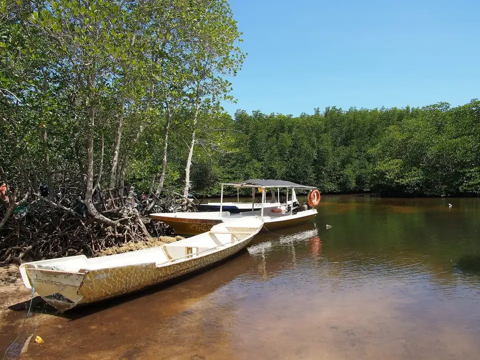 A boat in the mangrove channel on the north side of Nusa Lembongan