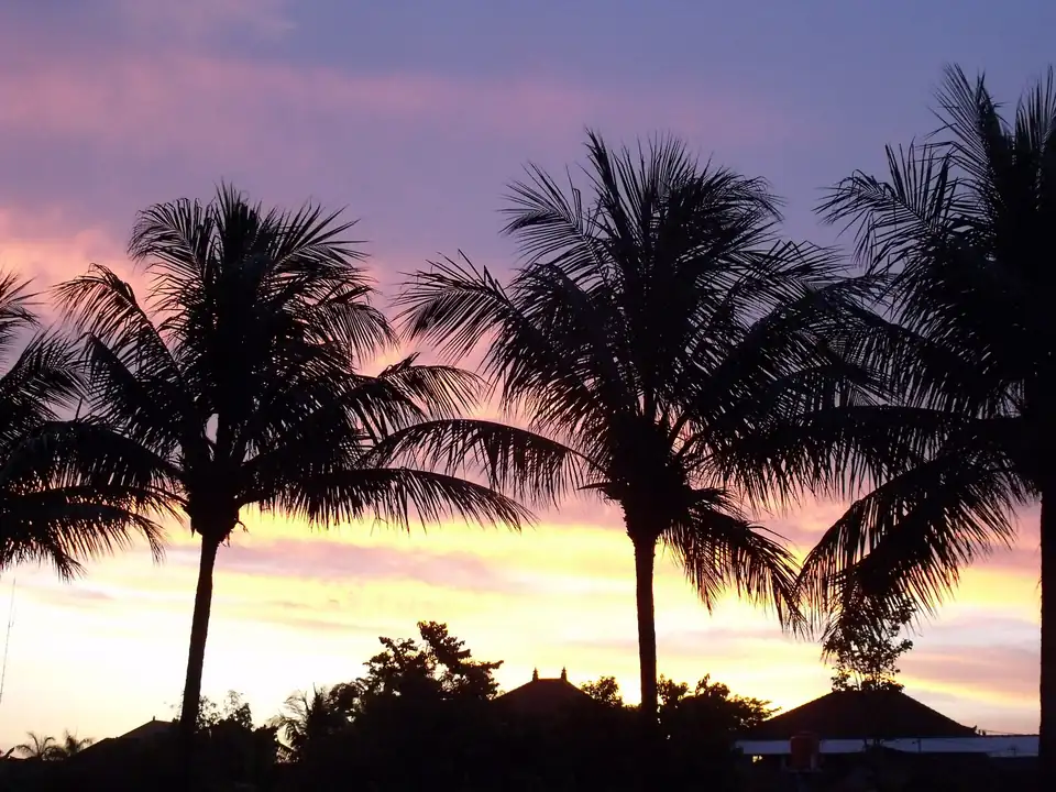 Palms against a cloudy sunset over Seminyak