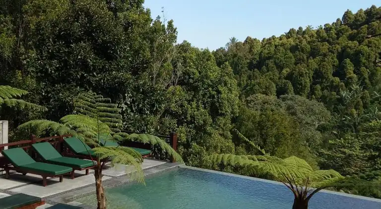 BINTANG MUNDUK