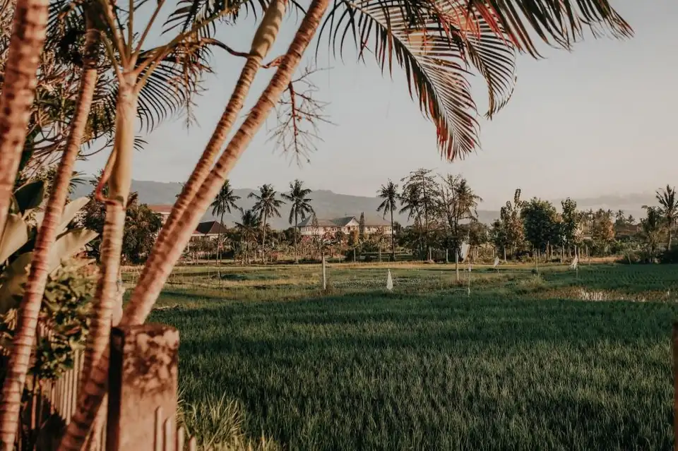 Rumi Bumi Lovina - A Home For Unhurried Days