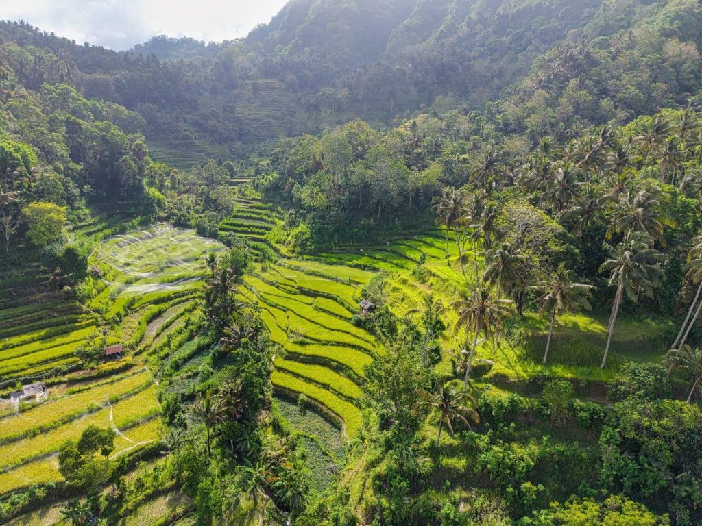 About Bali Frontier